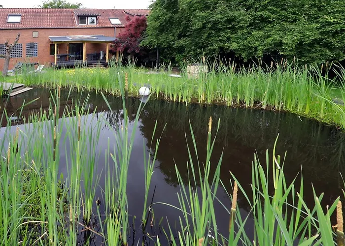 Am Schwimmteich Apartament *